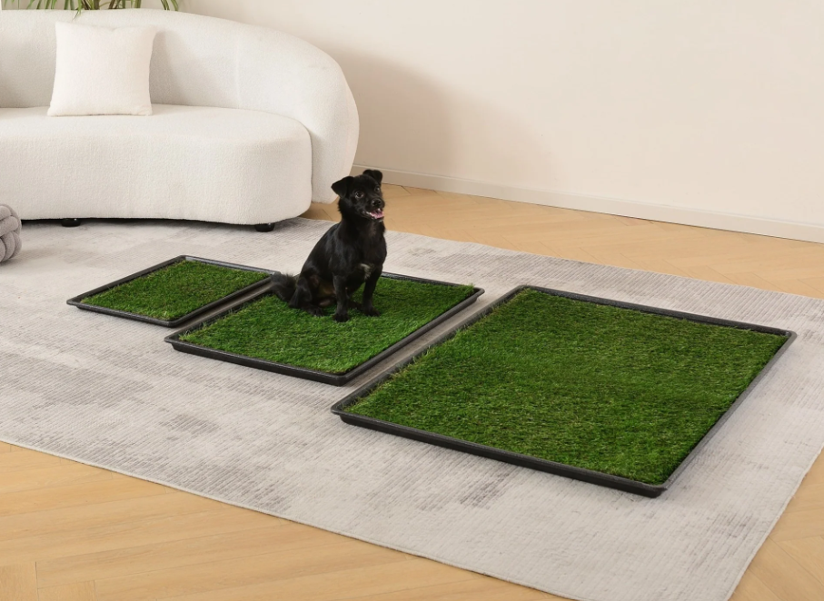 Artificial Grass for Dogs: Creating Pet-Friendly Outdoor Spaces