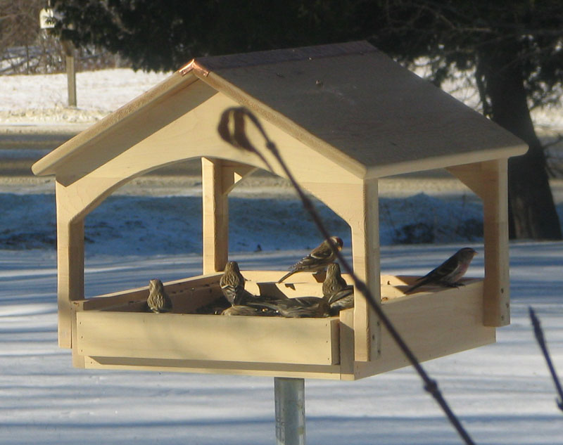 open bird feeders